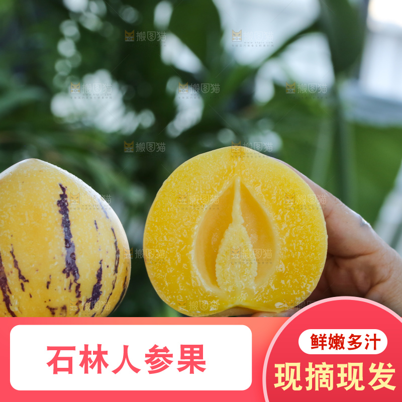 手里拿着石林人参果