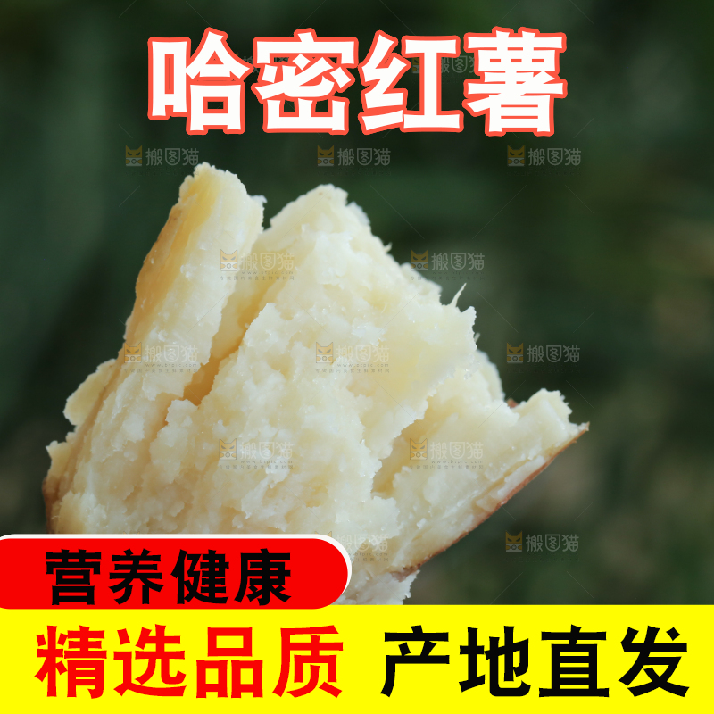 手里拿着白心冰糖薯