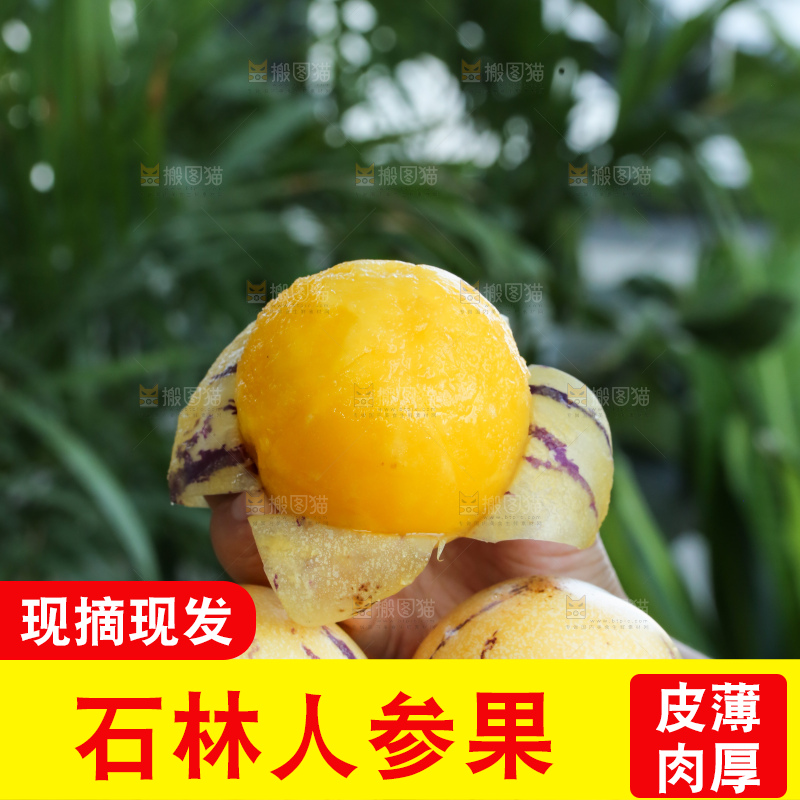 手里拿着石林人参果