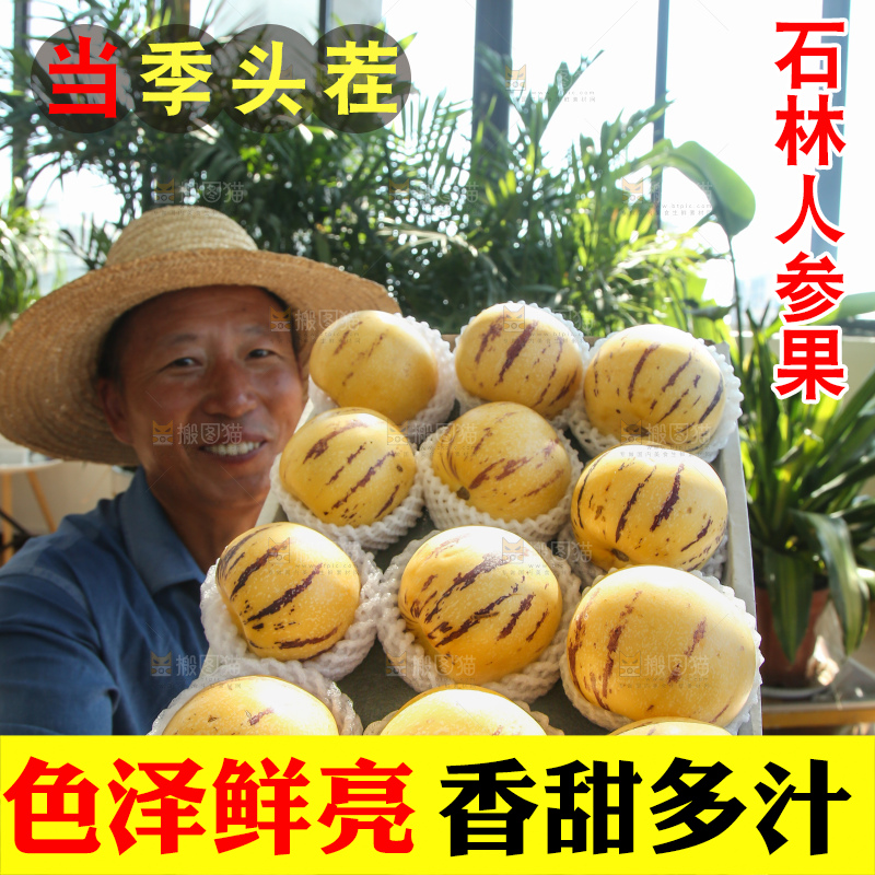 手里拿着一箱石林人参果