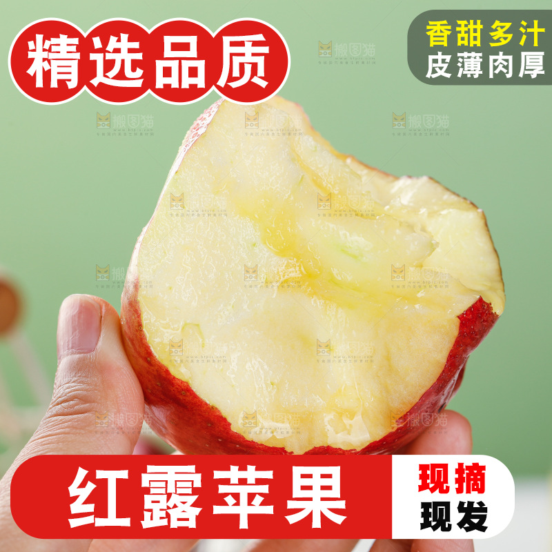 浅底上的红露苹果