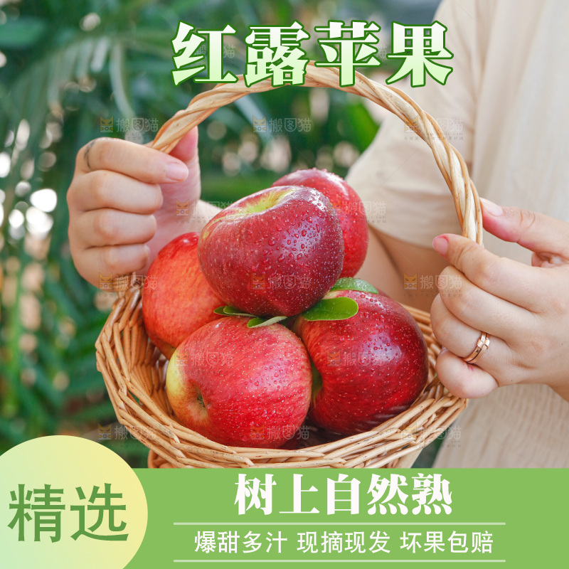 手里拿着红露苹果