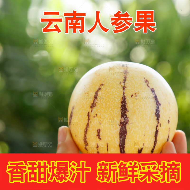 手里拿着石林人参果