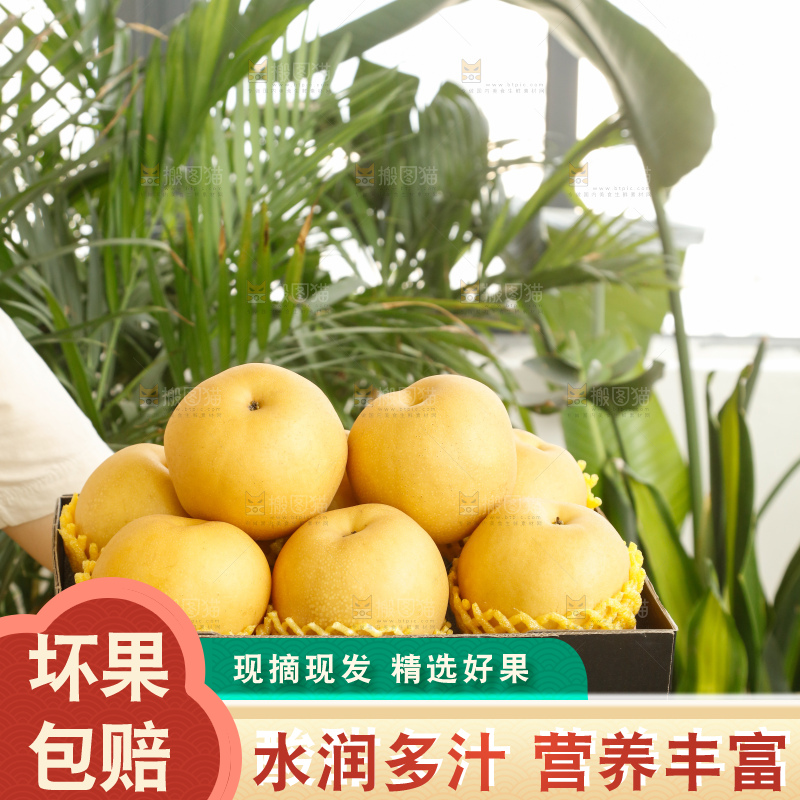 手里拿着一箱秋月梨