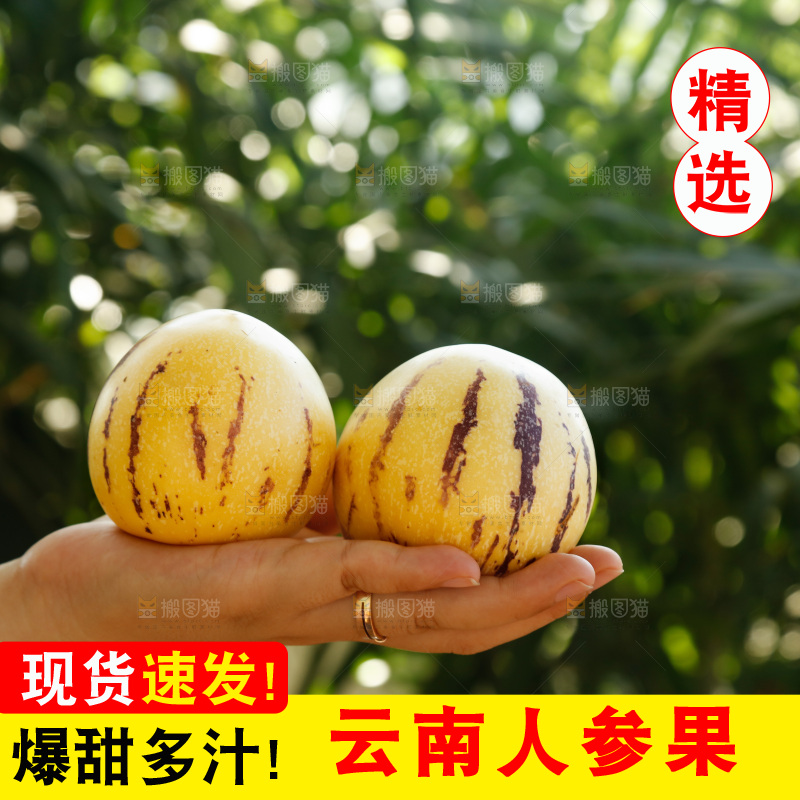 手里拿着石林人参果