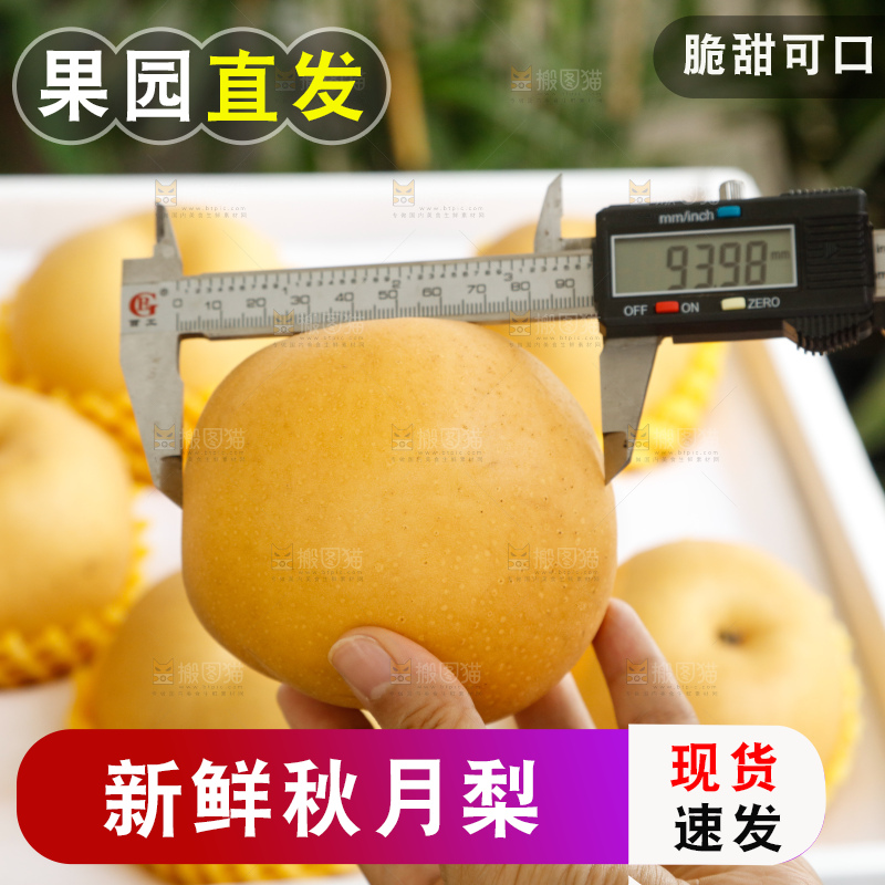 手里拿着一箱秋月梨