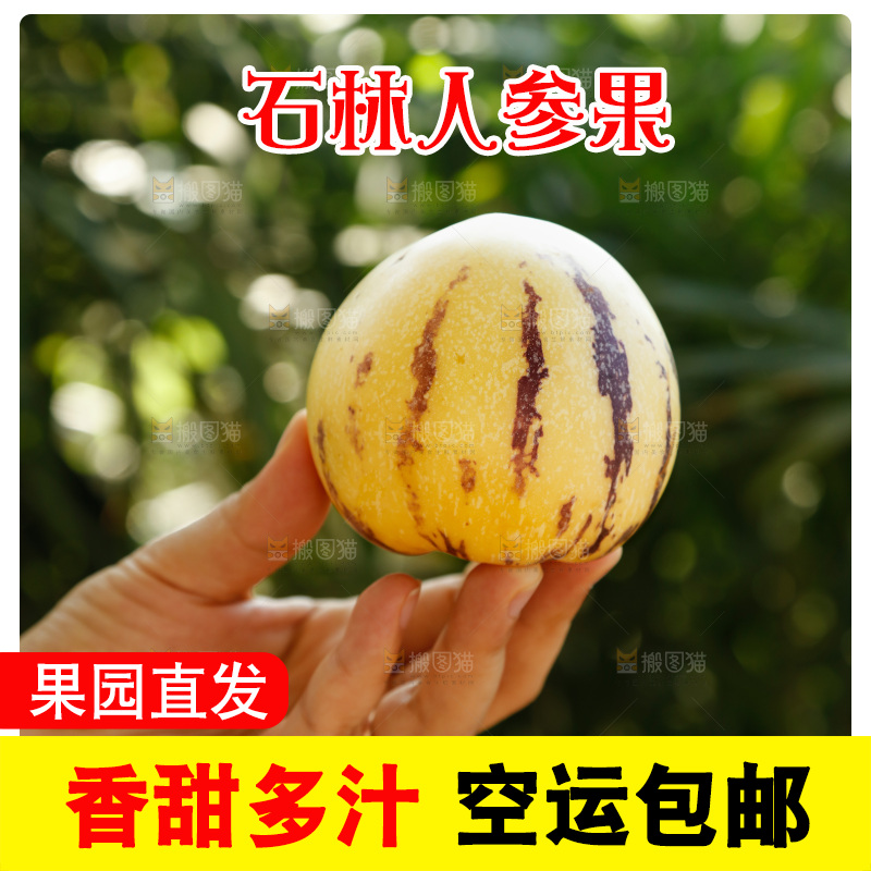 手里拿着石林人参果