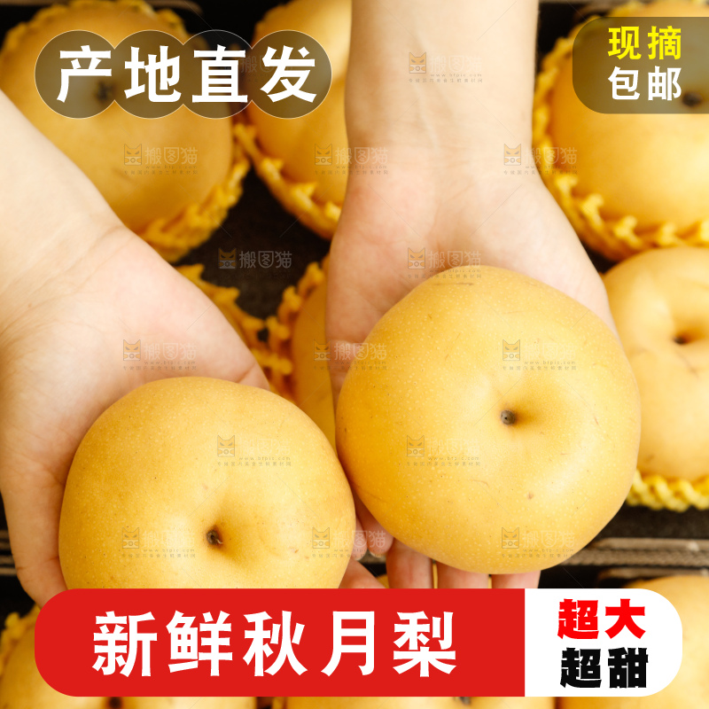 手里拿着一箱秋月梨