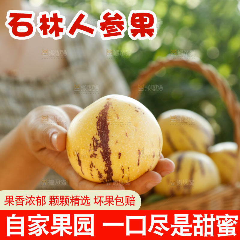 手里拿着石林人参果
