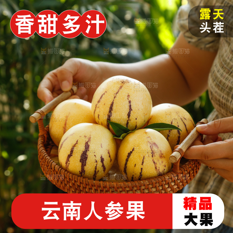 手里拿着石林人参果