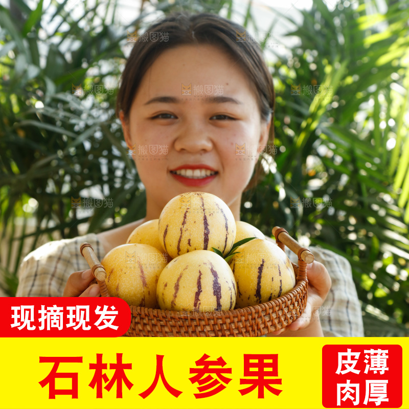 手里拿着石林人参果