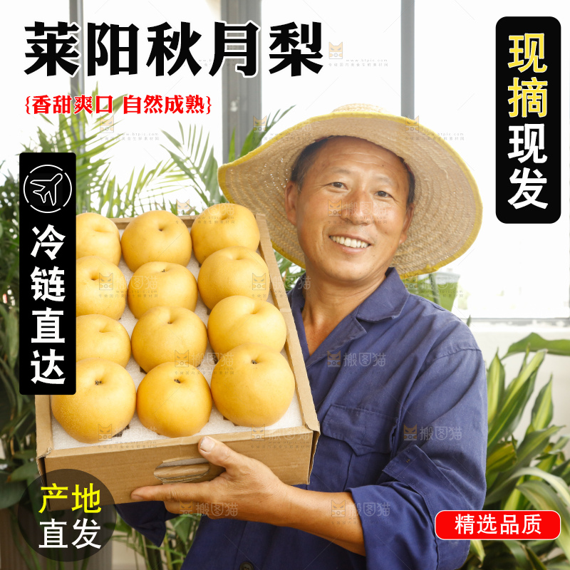 手里拿着一箱秋月梨