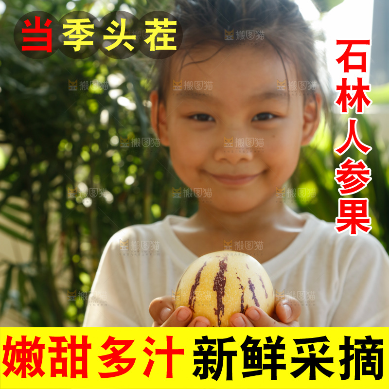 手里拿着石林人参果