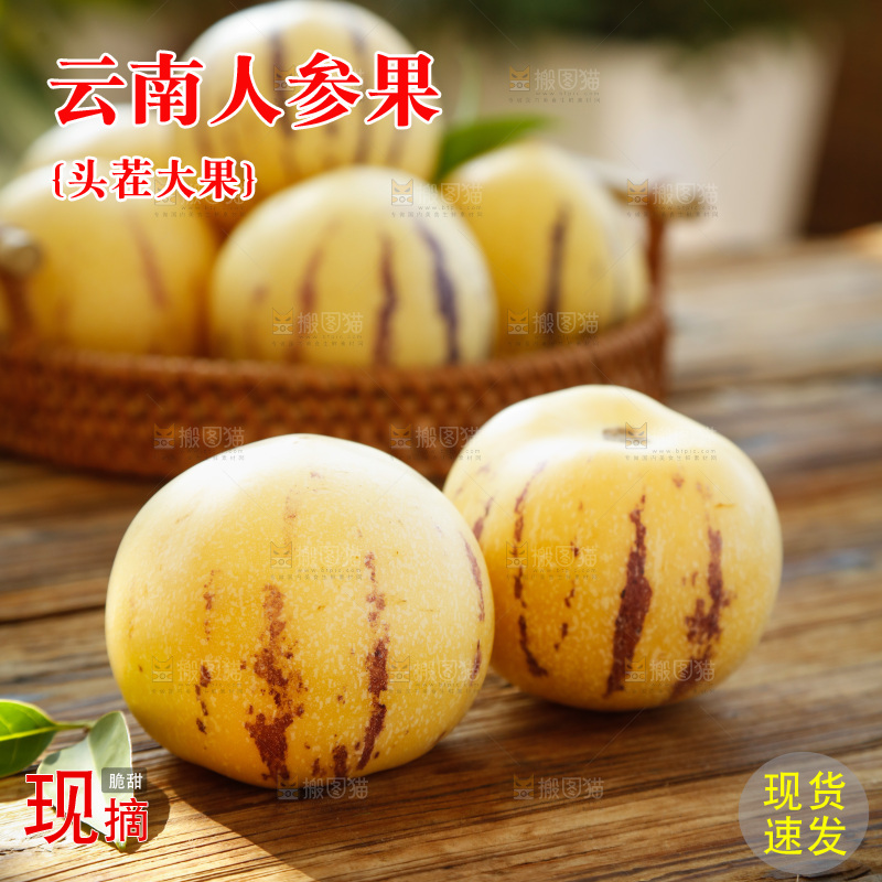 手里拿着石林人参果