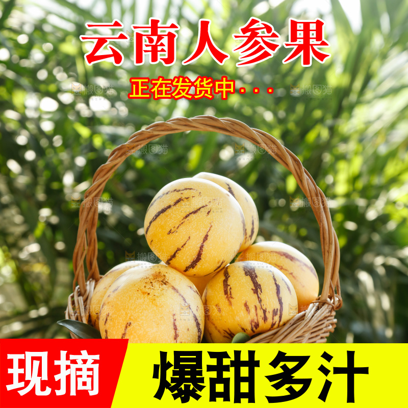 手里拿着石林人参果