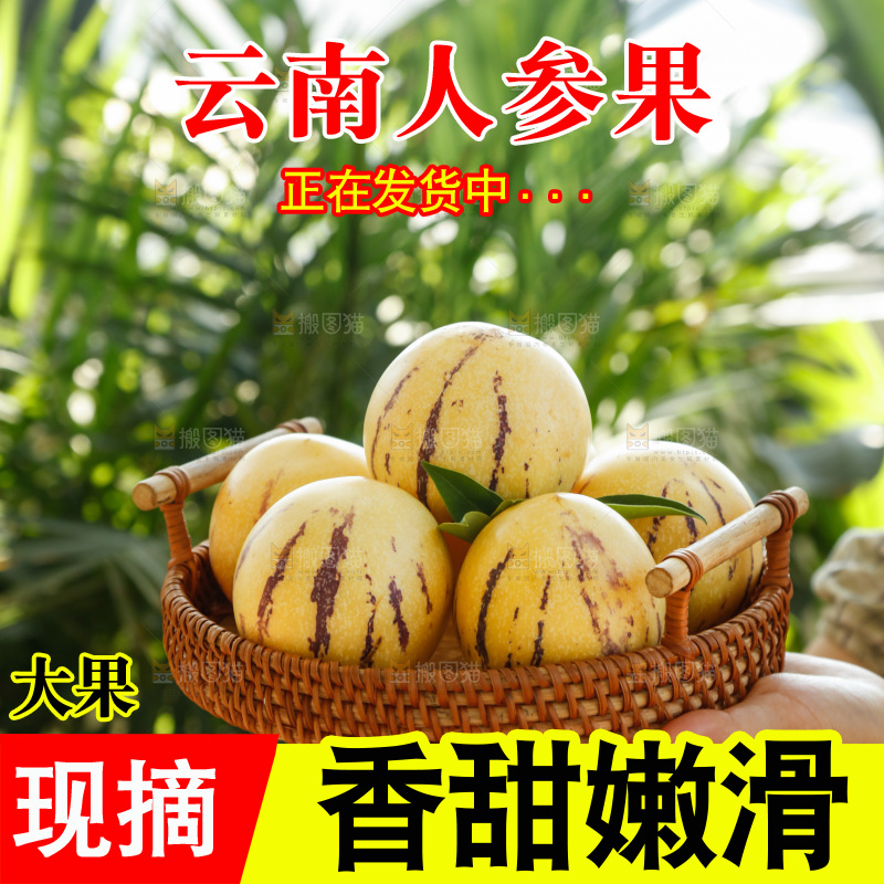 手里拿着石林人参果