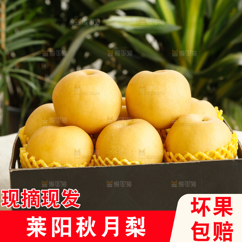手里拿着一箱秋月梨