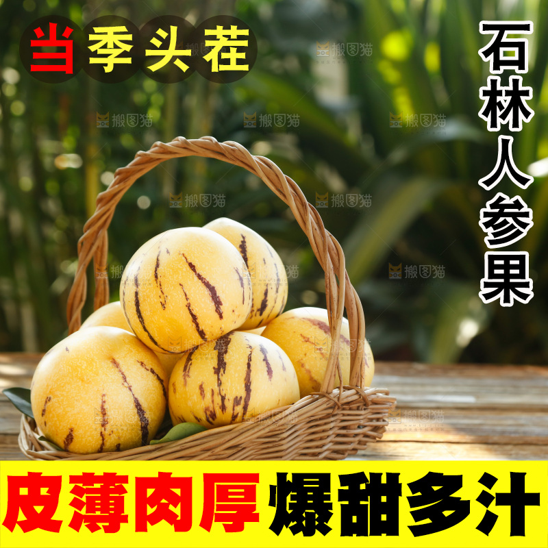 手里拿着石林人参果
