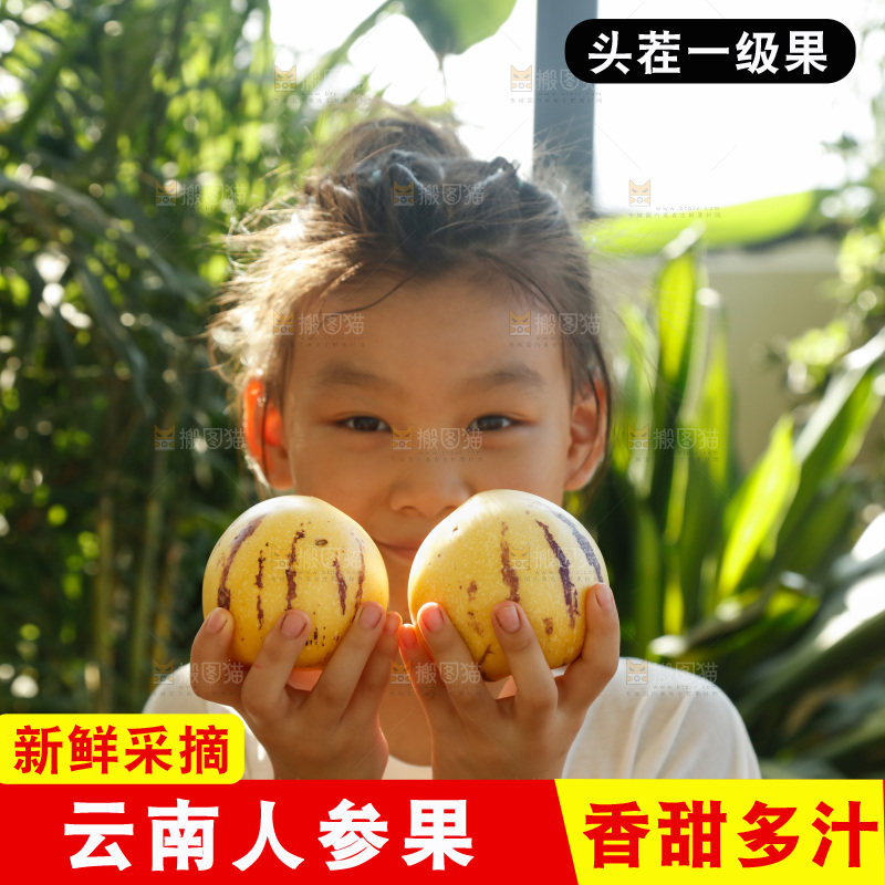 手里拿着石林人参果