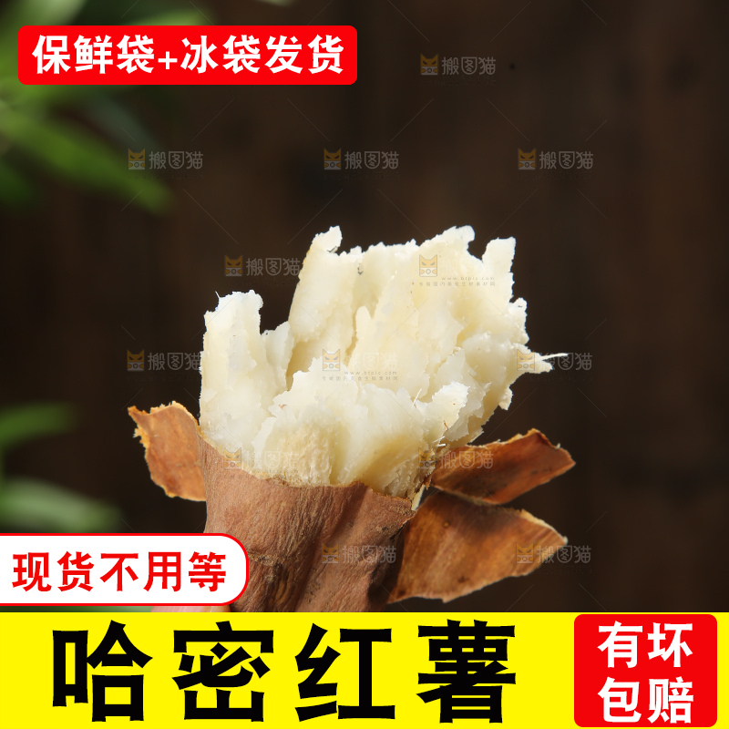 手里拿着哈密红薯