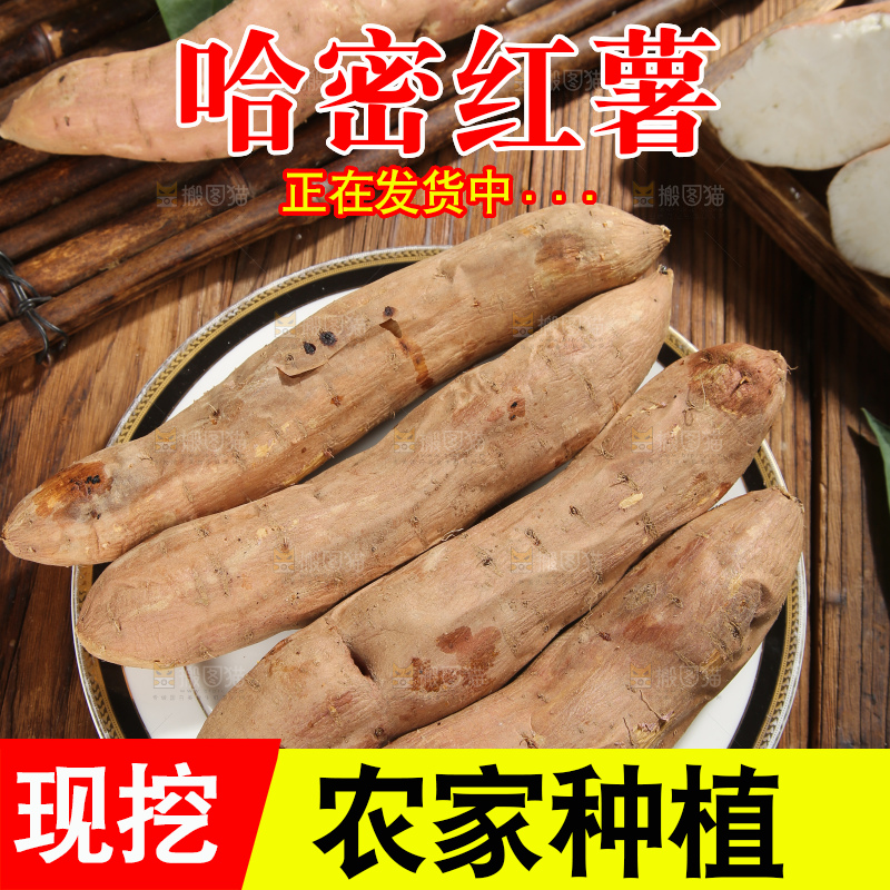 木底上的哈密红薯