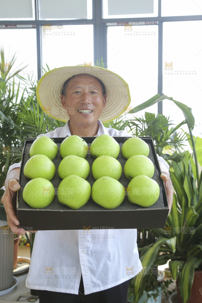 手里拿着一盒青皇冠梨