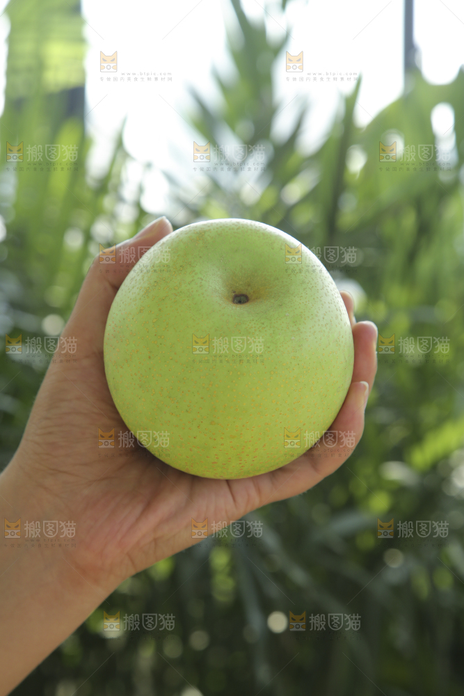 手里拿着一盒青皇冠梨