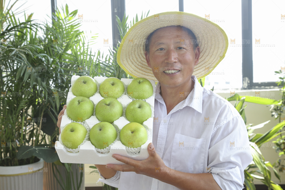 手里拿着一盒青皇冠梨