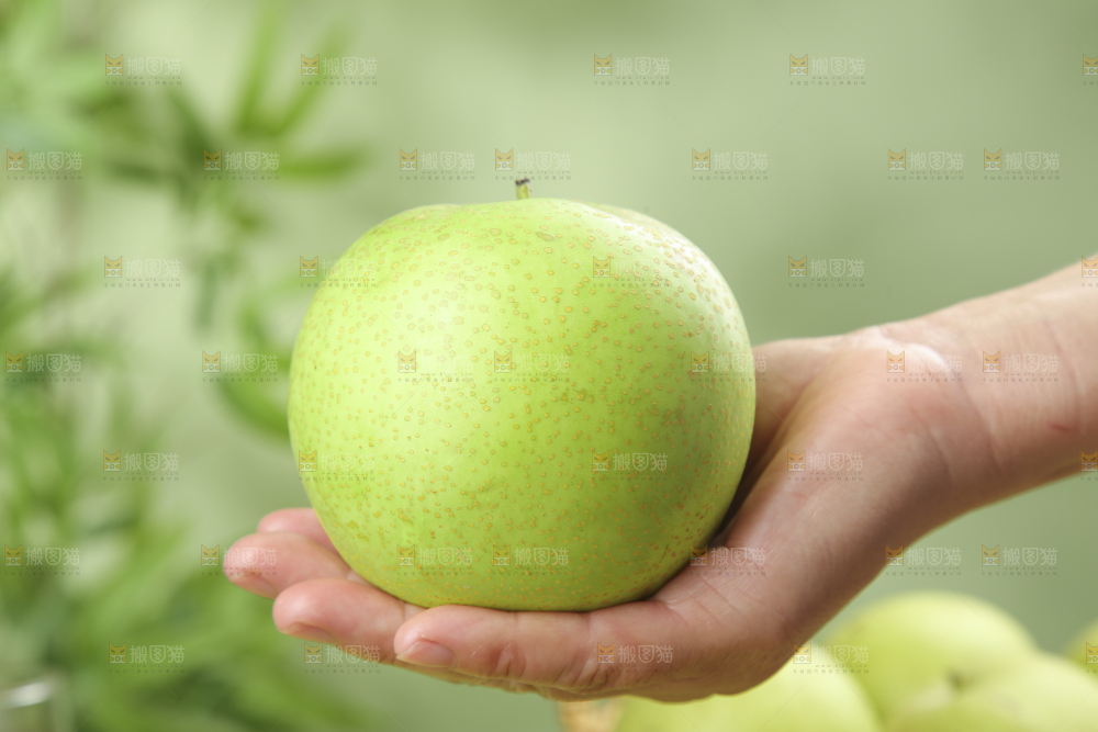 木底上的青皇冠梨