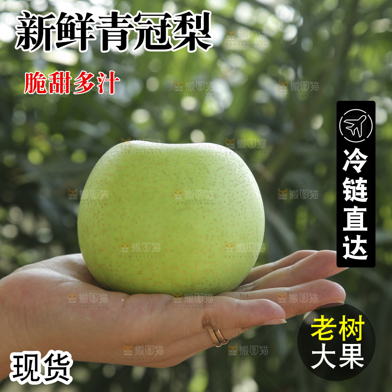 手里拿着一盒青皇冠梨