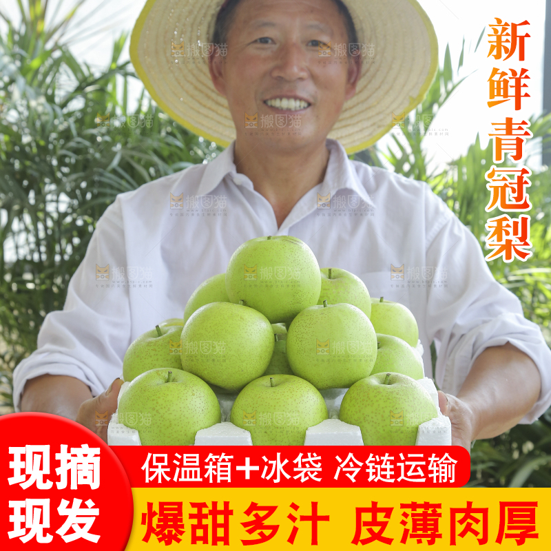 手里拿着一盒青皇冠梨