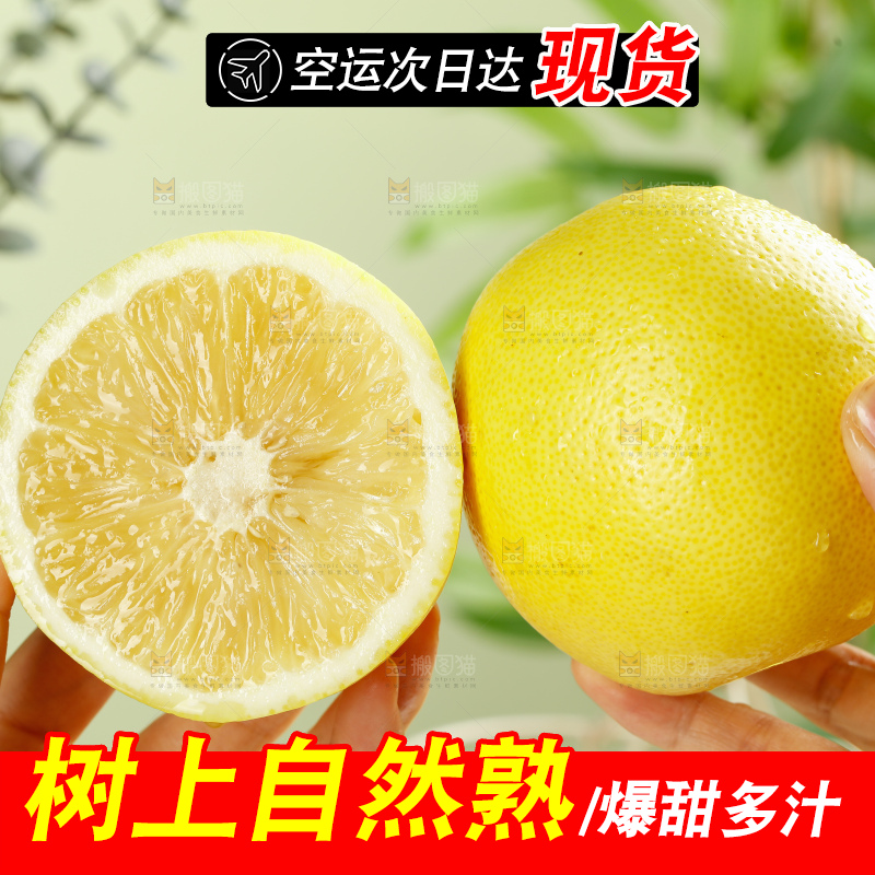 浅底上的南非橙柚