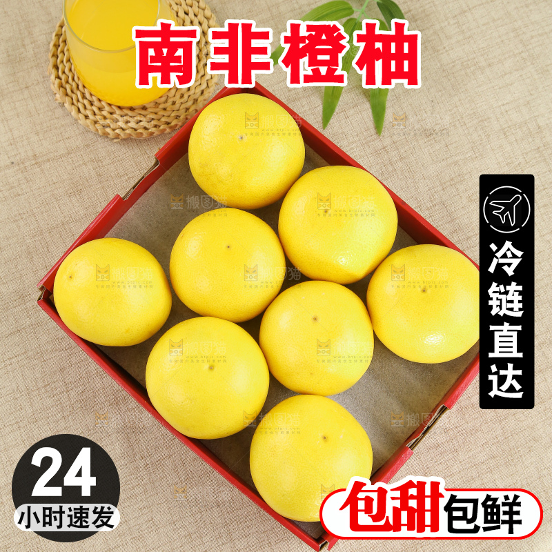 浅底上的南非橙柚