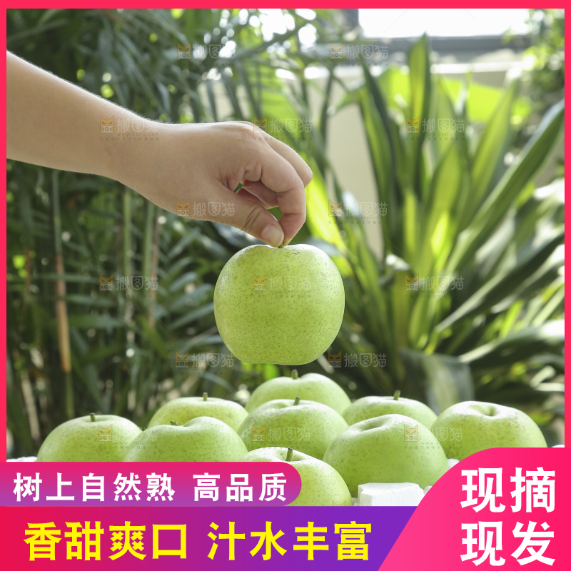 手里拿着一盒青皇冠梨