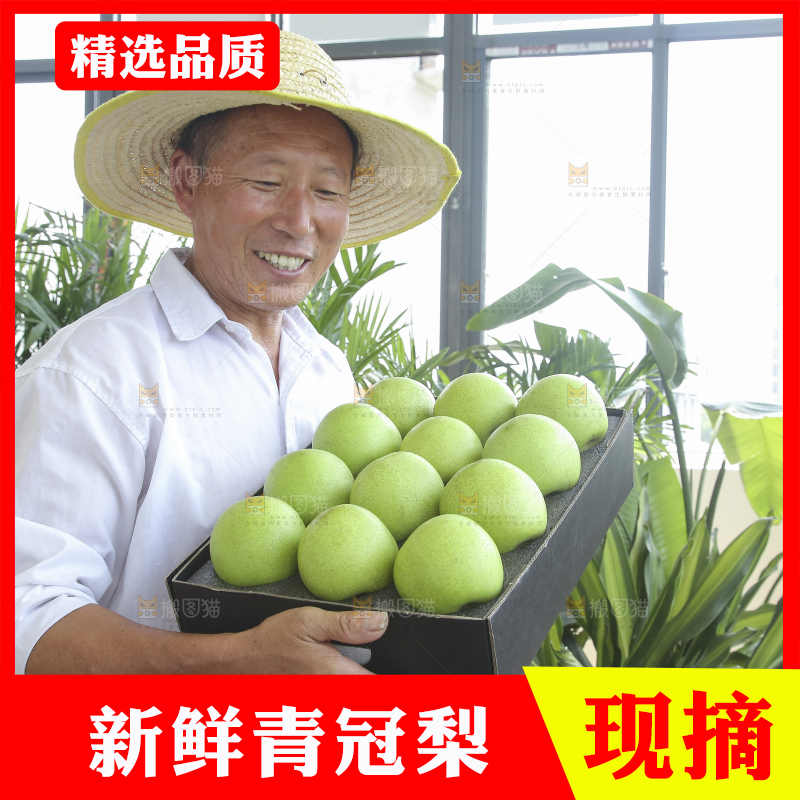 手里拿着一盒青皇冠梨