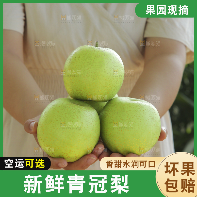 手里拿着一盒青皇冠梨