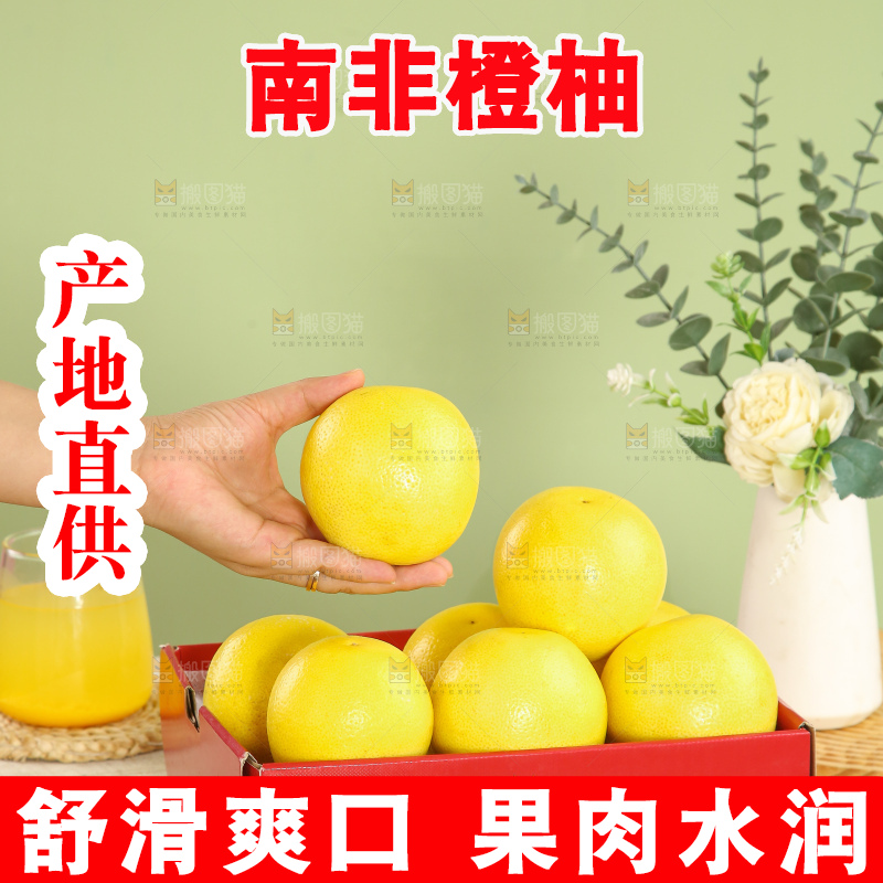 浅底上的南非橙柚