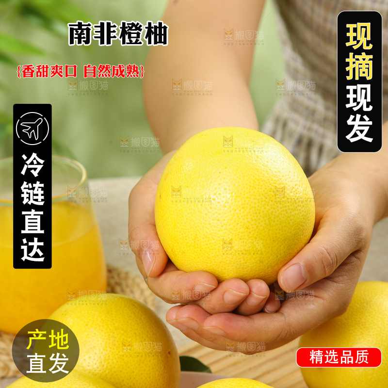 浅底上的南非橙柚