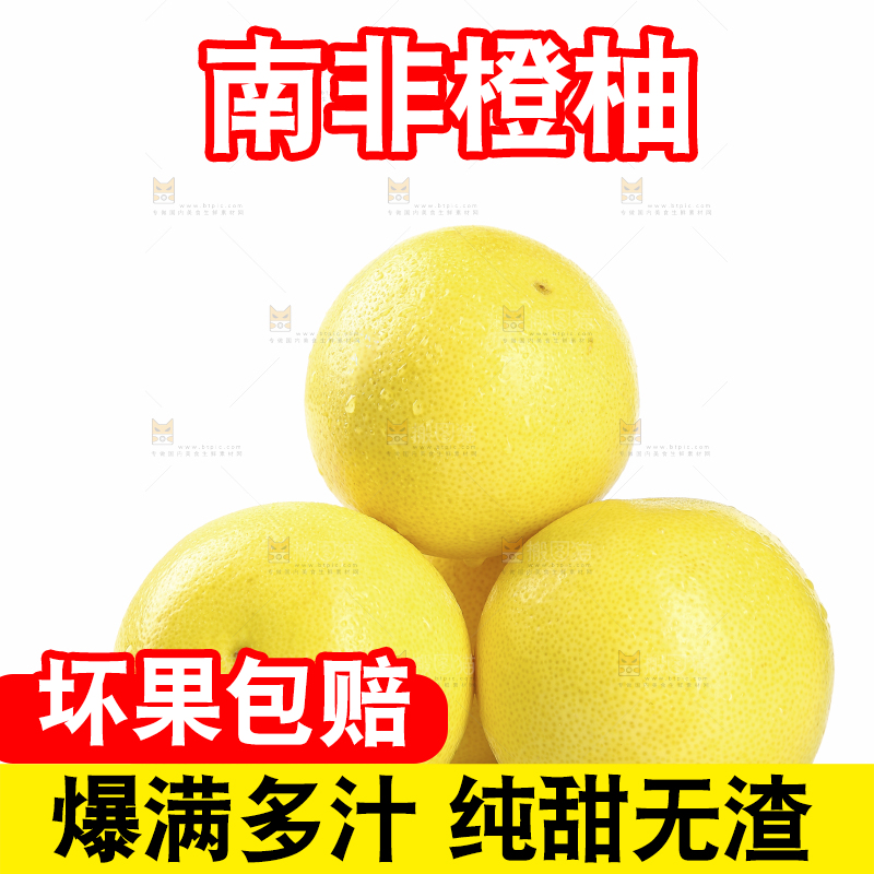 白底上的南非橙柚