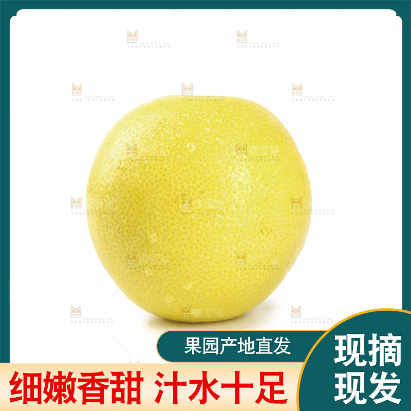 白底上的南非橙柚