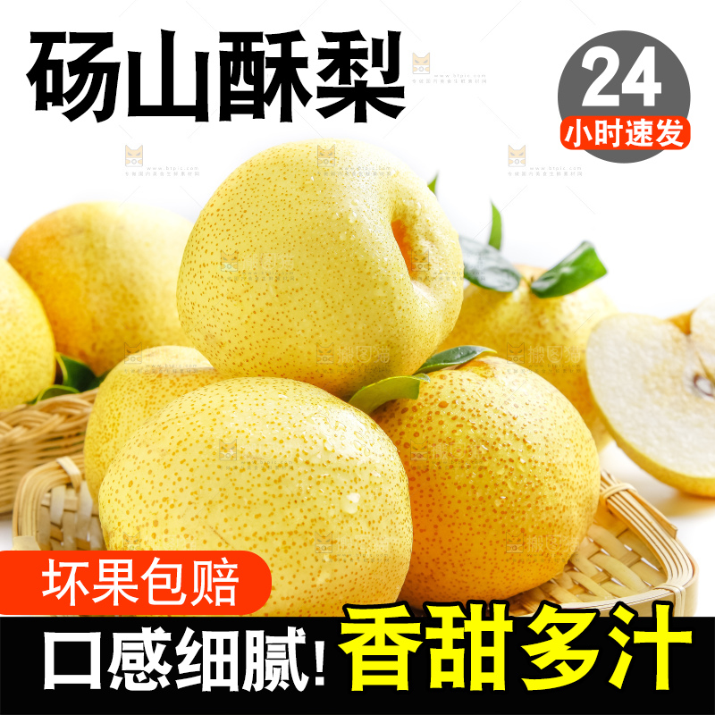 白底上的砀山酥梨