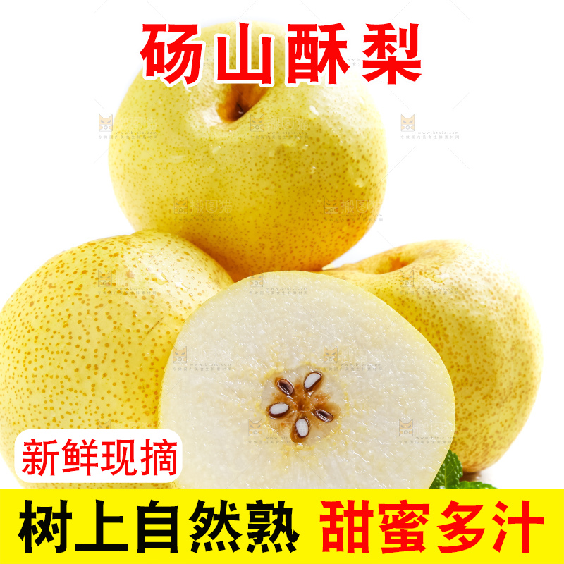 白底上的砀山酥梨
