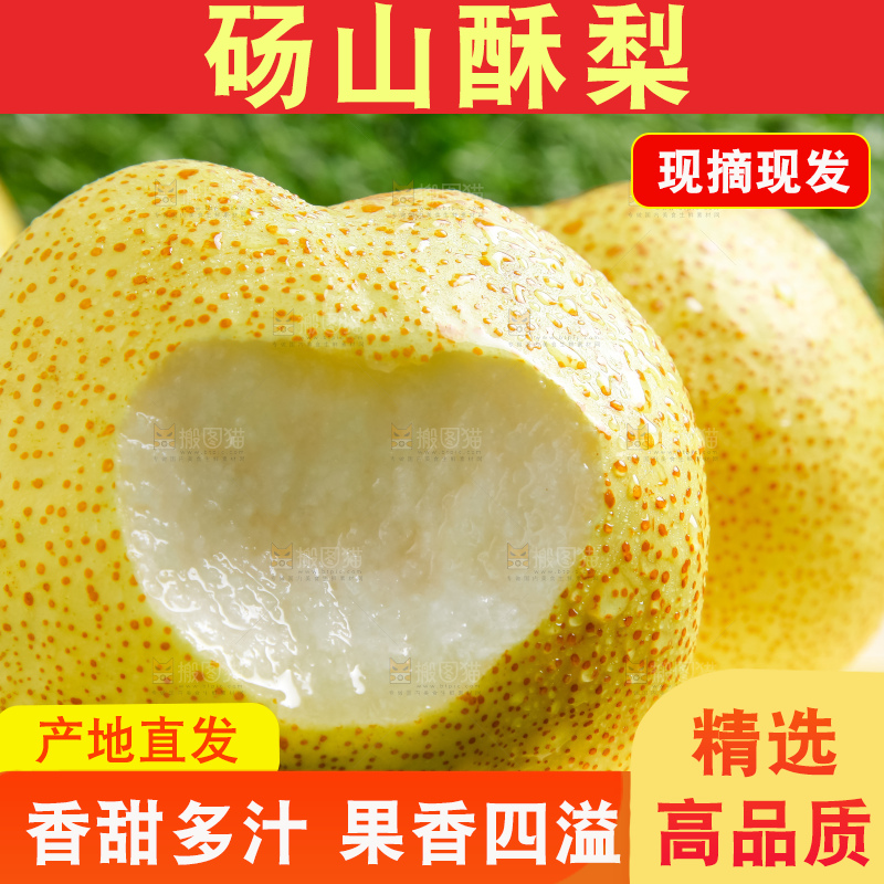 草地上的砀山梨