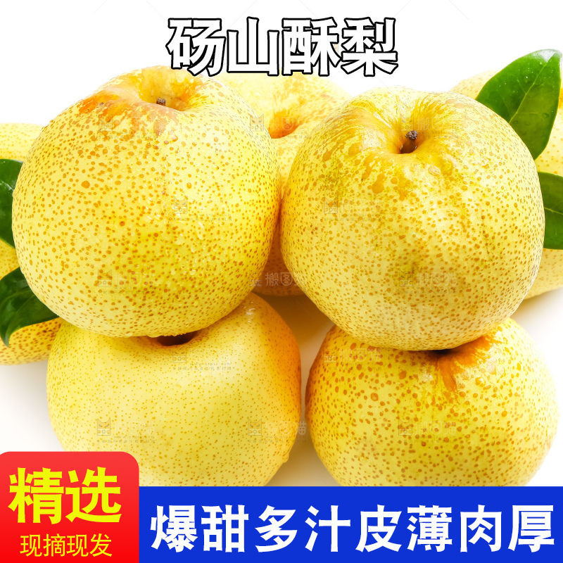 白底上的砀山酥梨