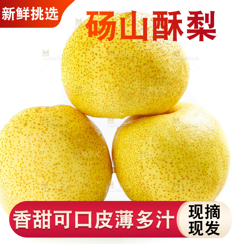 白底上的砀山酥梨