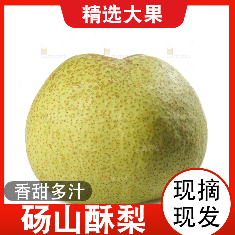 白底上的砀山酥梨