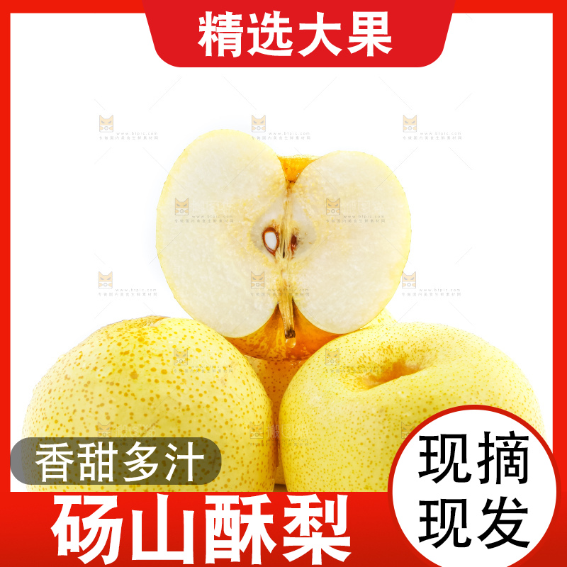 白底上的砀山酥梨