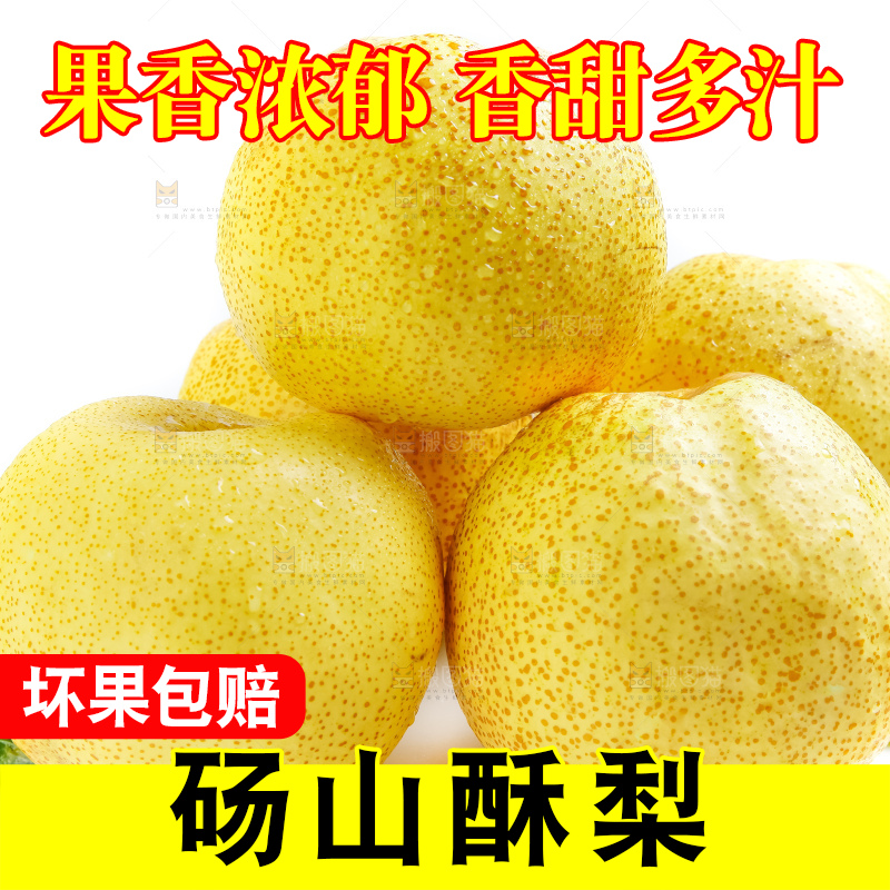 白底上的砀山酥梨
