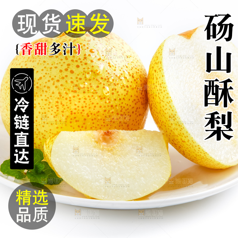 白底上的砀山酥梨