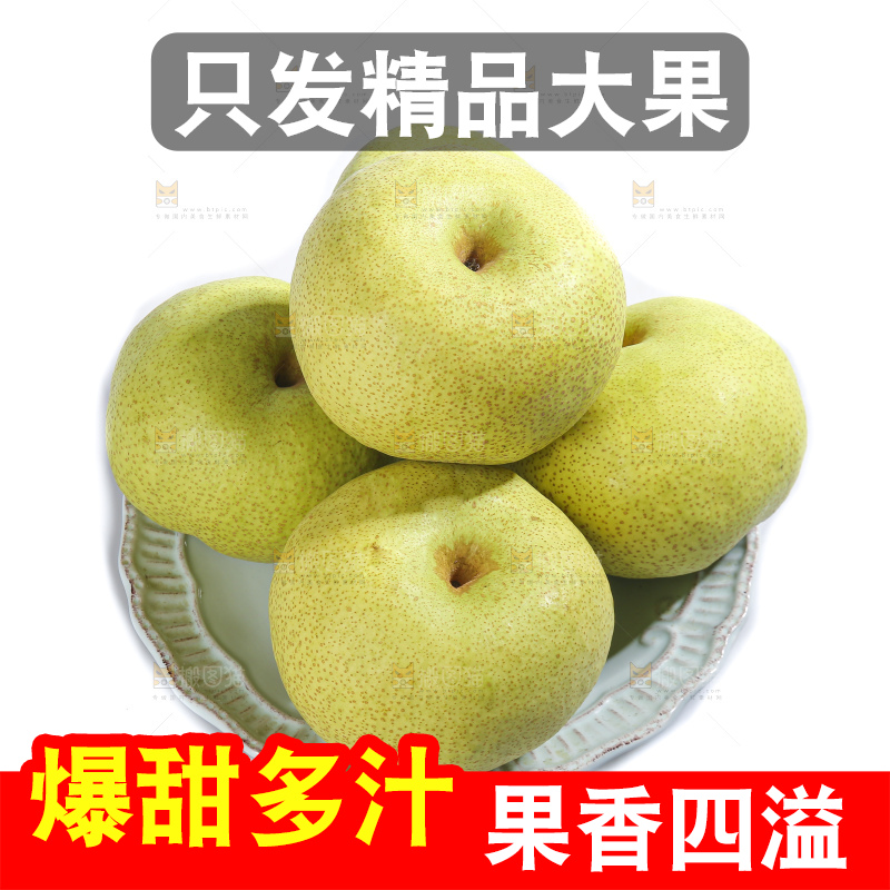 白底上的砀山酥梨
